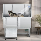 Baignoire de toilettage pour animaux de compagnie réglable, 50 W, en acier inoxydable, avec rampe à marches